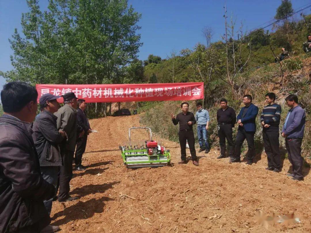 两当县举办中药材机械化种植现场指导培训会，科技赋能产业振兴