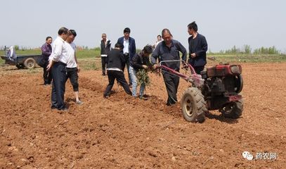中药材种植机械化困局 技术服务缺失与市场低需求的恶性循环