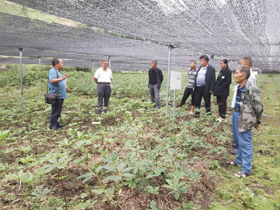 科技赋能 精准指导 中药材（重楼）夏季生产管理技术培训与服务全面推进