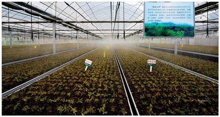 优秀!建德这些获了奖的特色商品,必须要存一份啦!