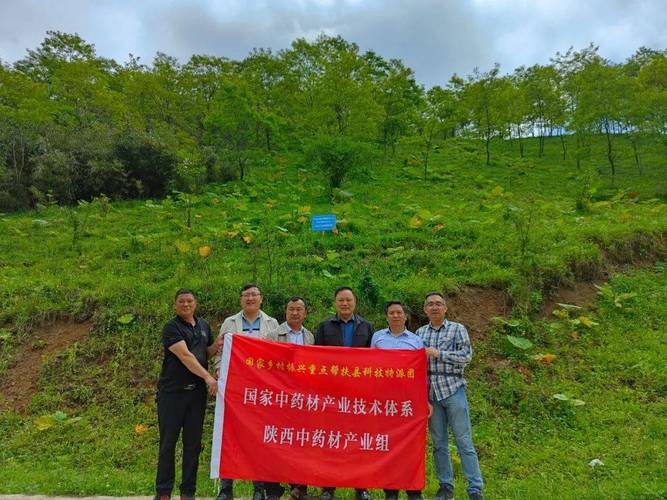 国家科技特派团为镇巴中药材产业发展"把脉开方"